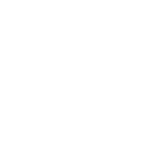 007-10ms