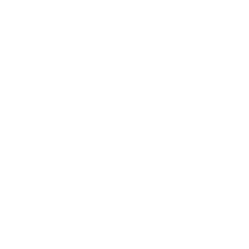 009-safe