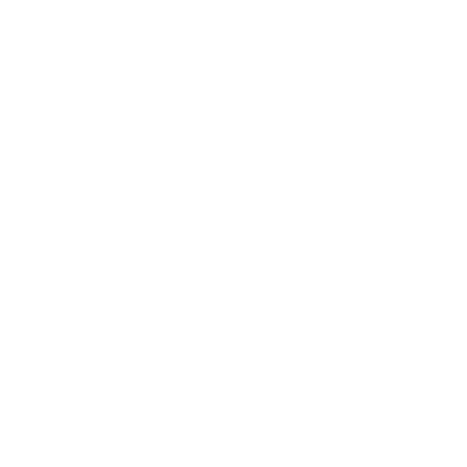 010-economic